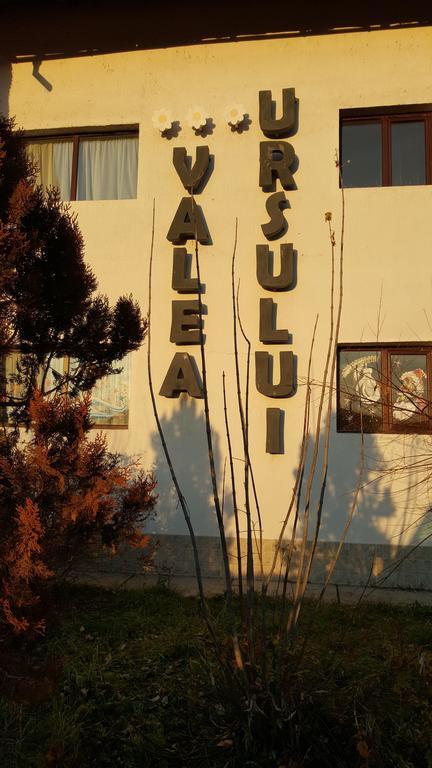 Pensiunea Valea Ursului Bascov Zewnętrze zdjęcie